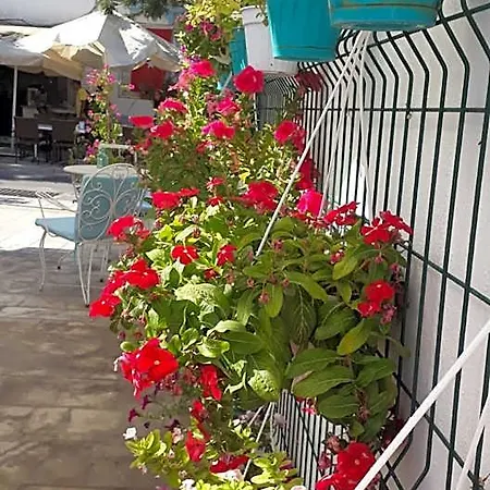 Duru Butik 3* Αλικαρνασσός